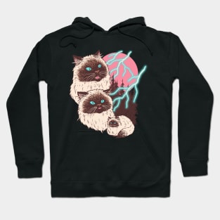 Himalightnin' Cats Hoodie